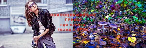 марки lsd Зеленокумск
