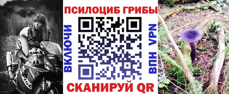 Псилоцибиновые грибы Cubensis  Купить  Алапаевск 